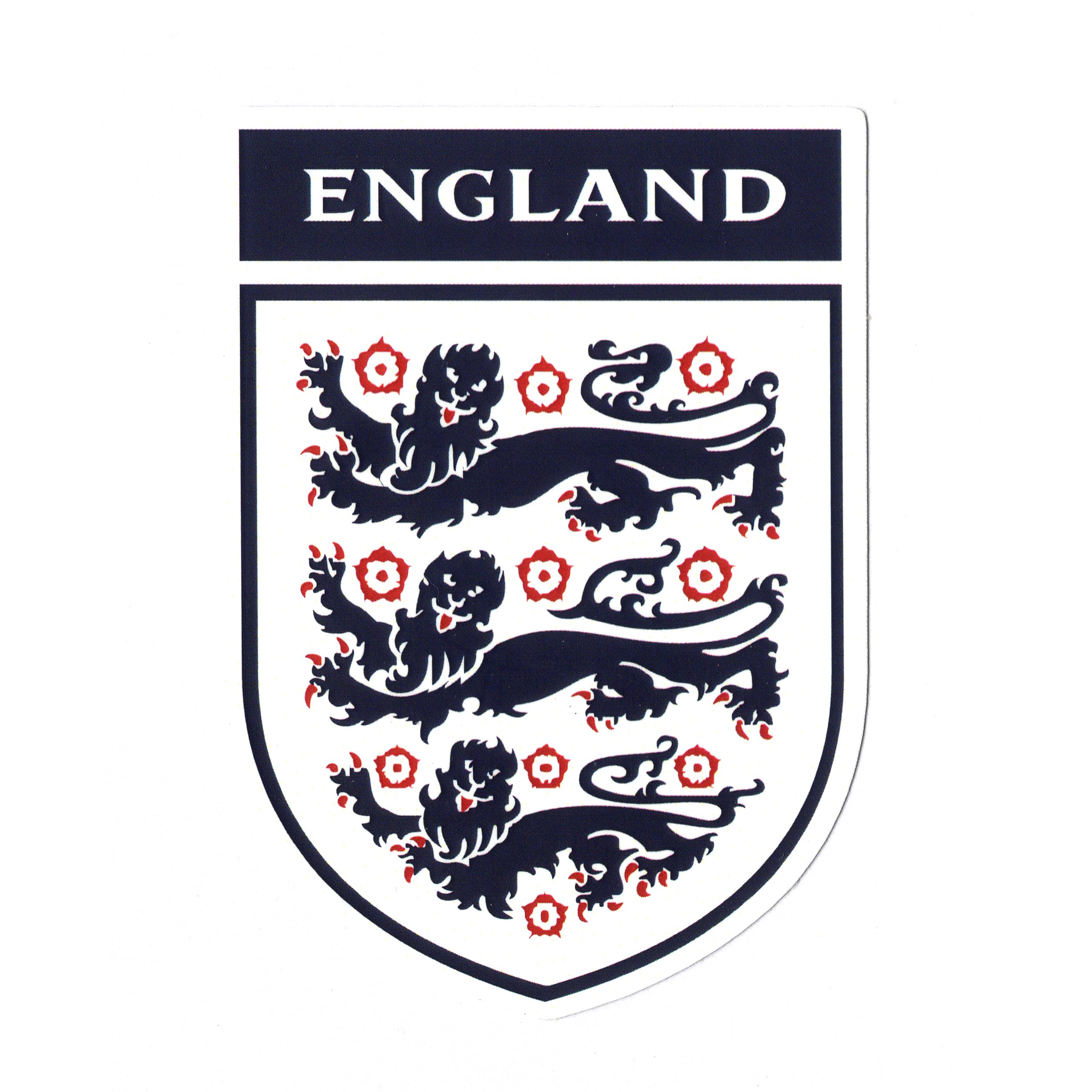 イングランド代表　エンブレム スウェット 2025年最新】イングランド代表 スウェットの人気アイテム - メルカリ